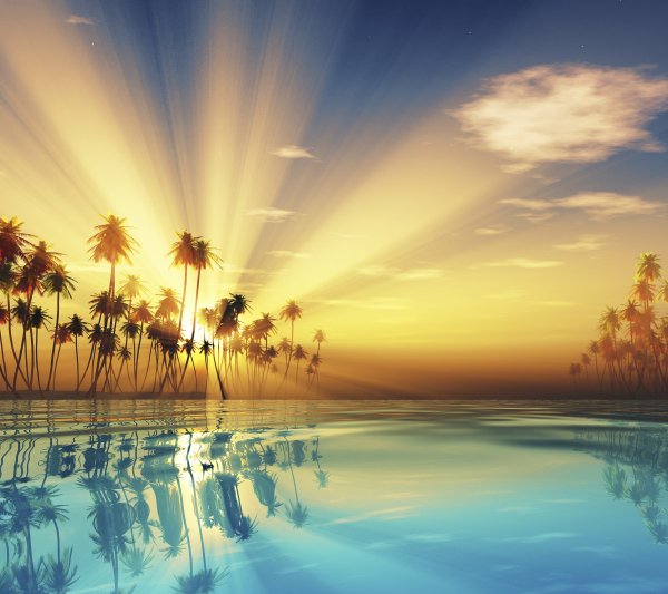 Рассвет Море Пальмы