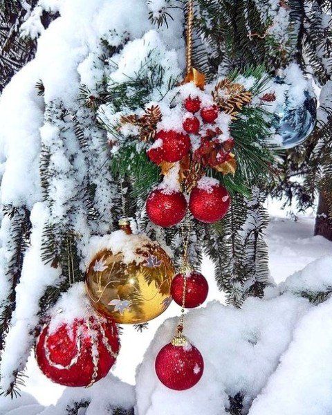 file_95265151