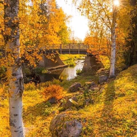 FB IMG 16035344901337274