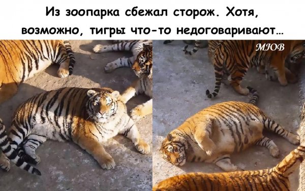 FB IMG 1775993768872