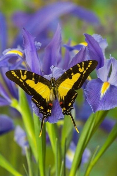 IMG-b16f571513dce0cf5c5b02b93dbaf9b3-V