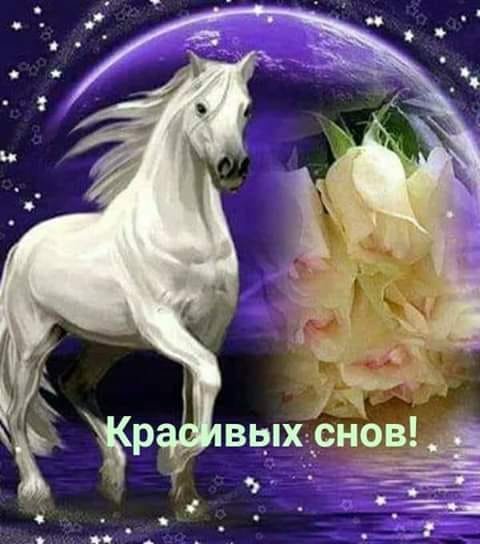 Красивых снов