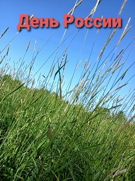 День России 2023