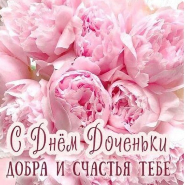 IMG 20260424 212605