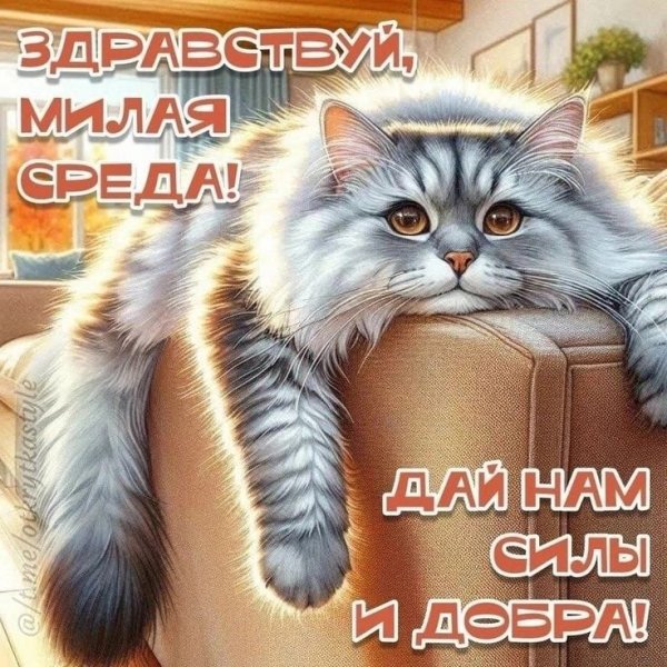 IMG-20251202-WA0014
