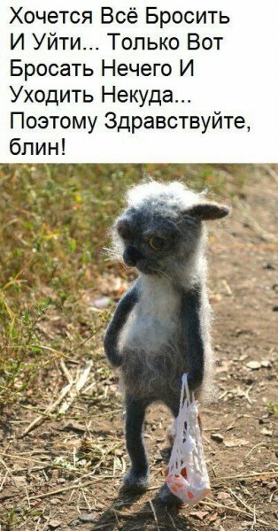 prikolnye kartinki s nadpisyami dlya podnyatiya nastroeniya 1