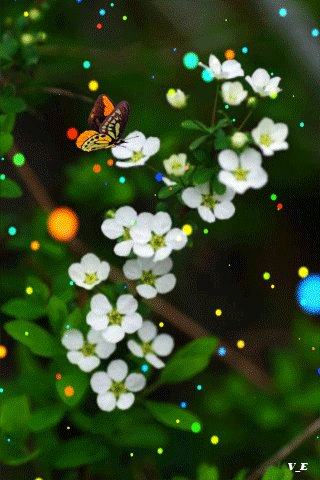 file_68147669