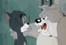 Tom-and-jerry-accordion