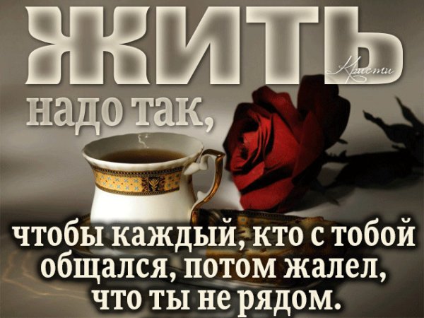 image (42)