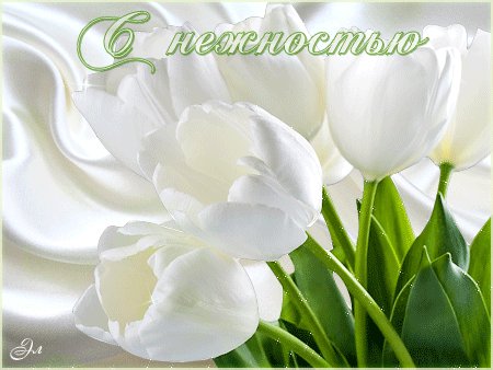 file_61158523