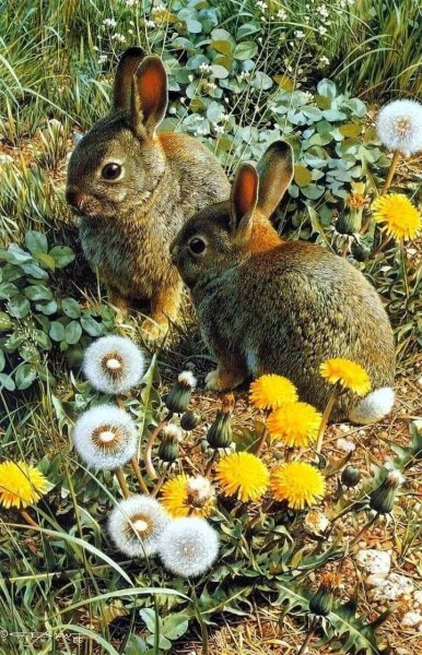 FB IMG 1716824397636