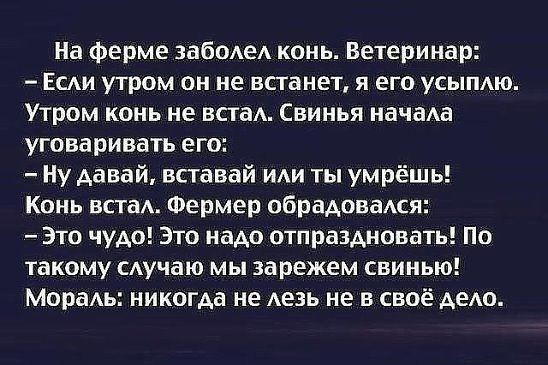 xWHBHZBpMt4