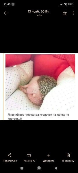 Screenshot 2026-04-10-21-40-24-894