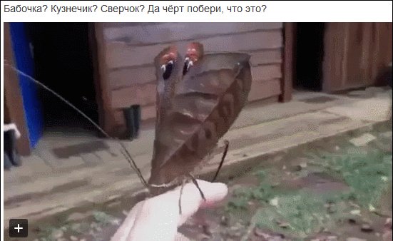 ккк