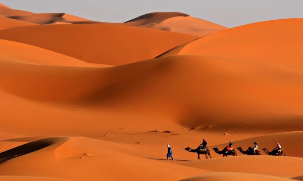convoy in the desert-800698