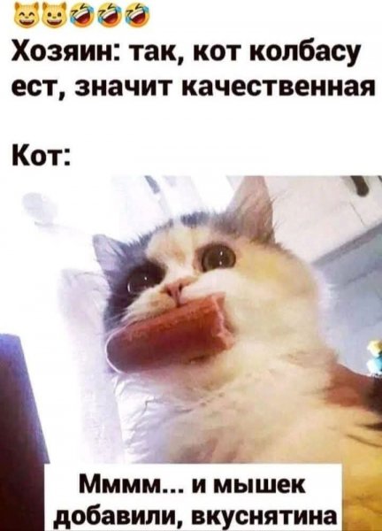 FB IMG 1740498540072