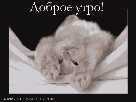 Доброе Утро