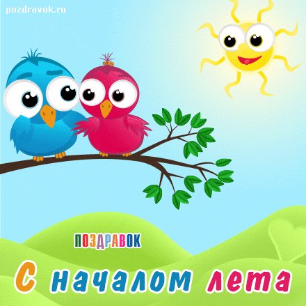 s-nachalom-leta-ptichki