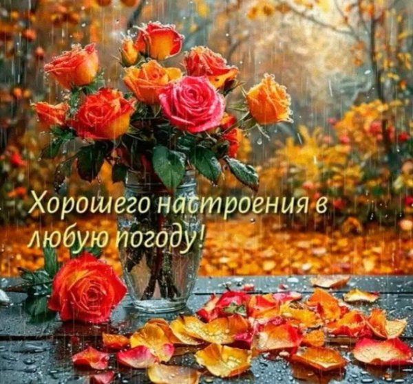 file_98162006