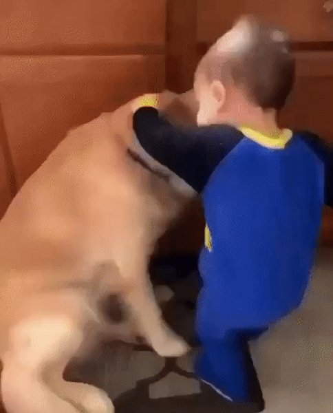 ЛУЧШИЕ ДРУЗЬЯ