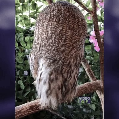 IMG 20181020 172939
