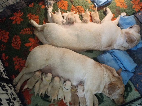 F6GP9MT5XTYXD5703NAG