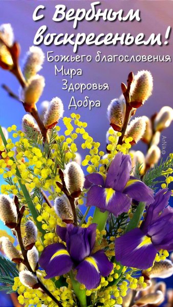 3b526ad480eeb8960008e66505d0111e