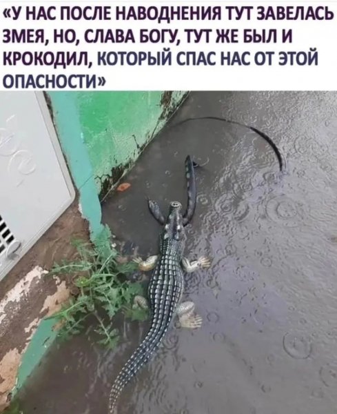 Повезло
