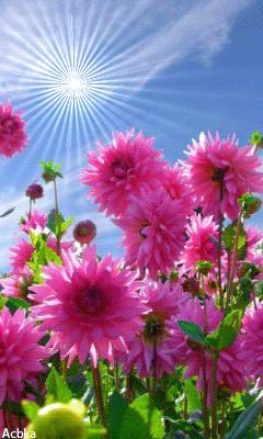 file_59111860