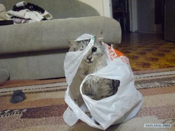 IMG 1749559016891