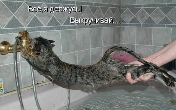 FB IMG 1780695154451