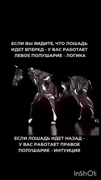 Общепримиряющая ходьба на месте)