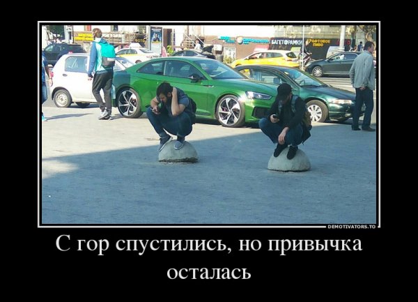 file_74782084