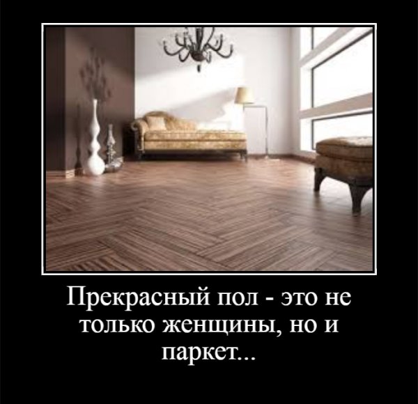 Прекрасный пол - это не только женщины, но и паркет...