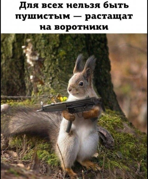 FB IMG 1779989234822