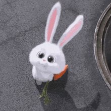 Cute-bunny-carrot-animated