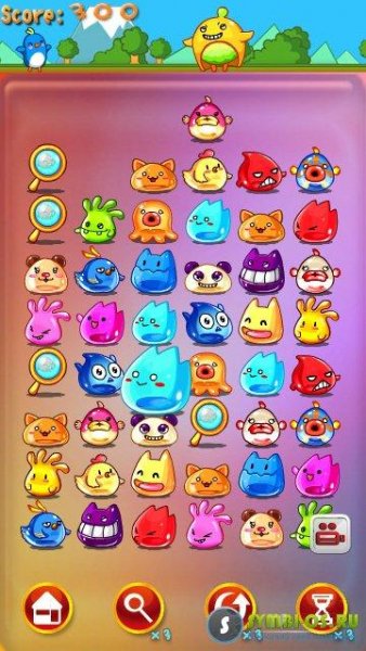 Animal Matching