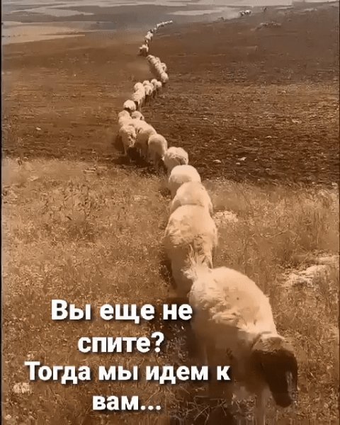 Не спите?