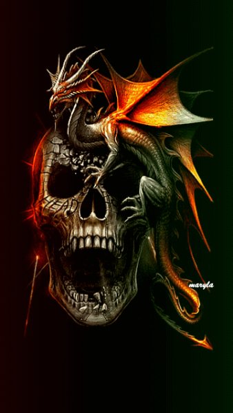skullanddr QqN6771P