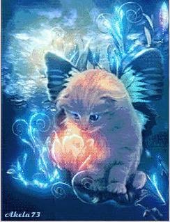 КотоФея анимация Фл.1.1