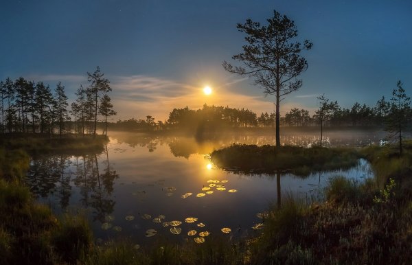 лунная ночь