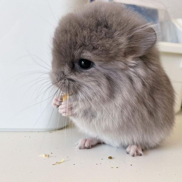 7a8f91e8a055f68dfa14198e9ccf3faf