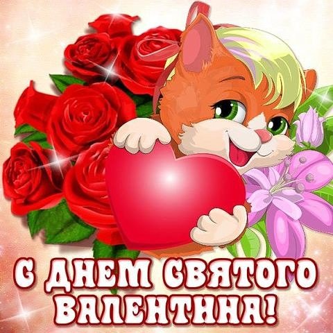 IMG 20160213 160515 12