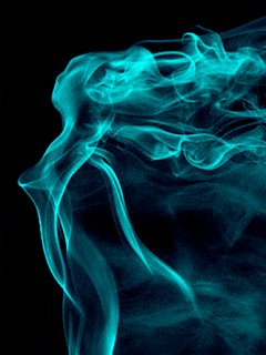 ezgif.com-db72ada29d