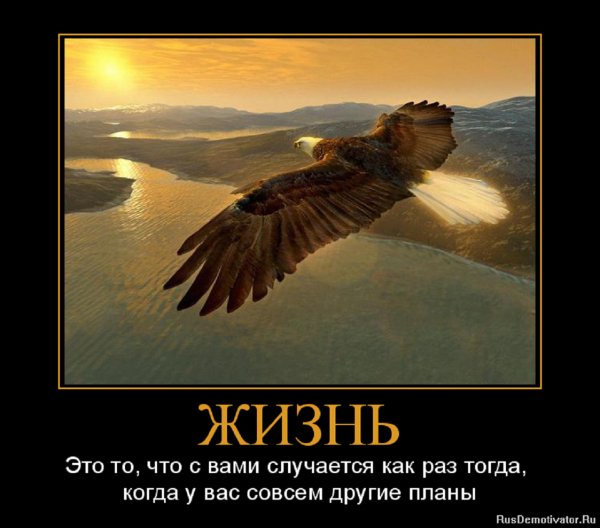 ЖИЗНЬ