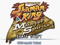 Shaman king