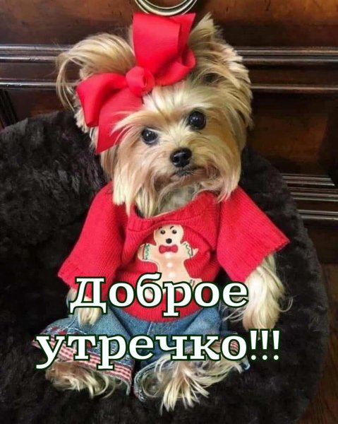 IMG-e5232ab196c7a04bbf3f4b43eac90214-V