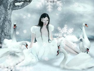 0 9e798 44ccbf2a XL1