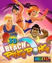 Beach Ping Pong 3D