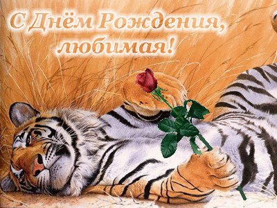 анимированная открытка с днем рождения